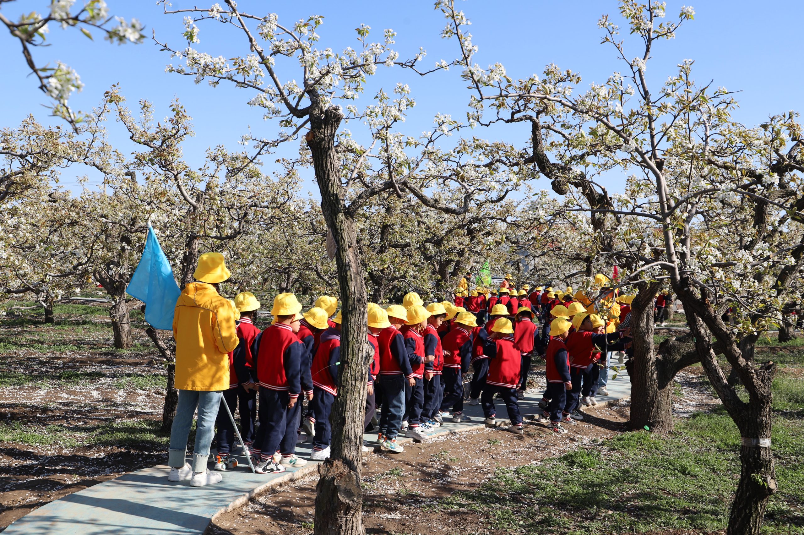 阳信小太阳幼儿园组织“我爱春天 我爱家乡 我爱大自然”游园活动
