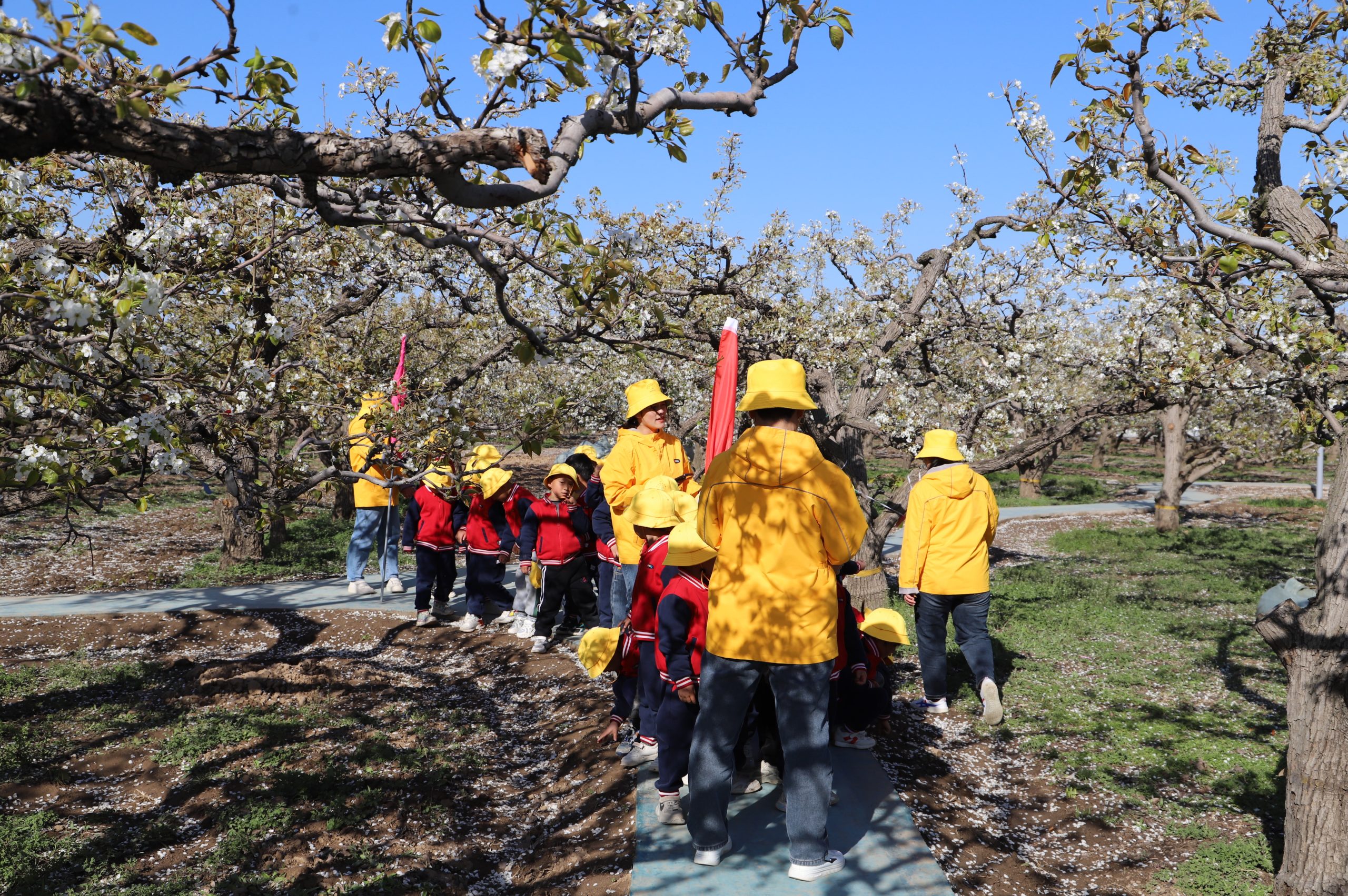 阳信小太阳幼儿园组织“我爱春天 我爱家乡 我爱大自然”游园活动