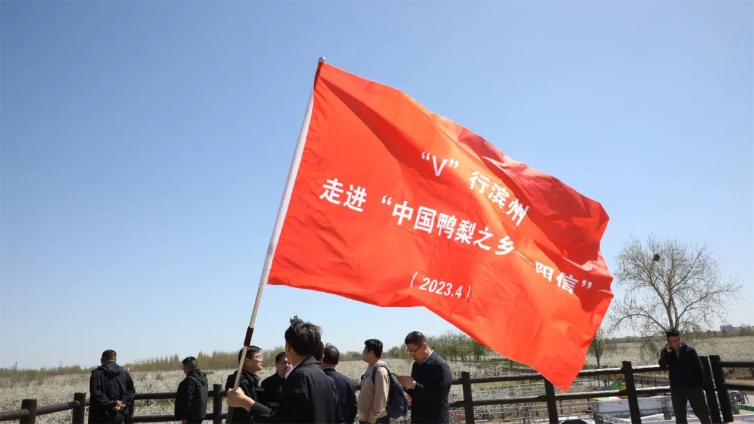 “V行滨州·走进阳信”2023自媒体采风活动成功举办