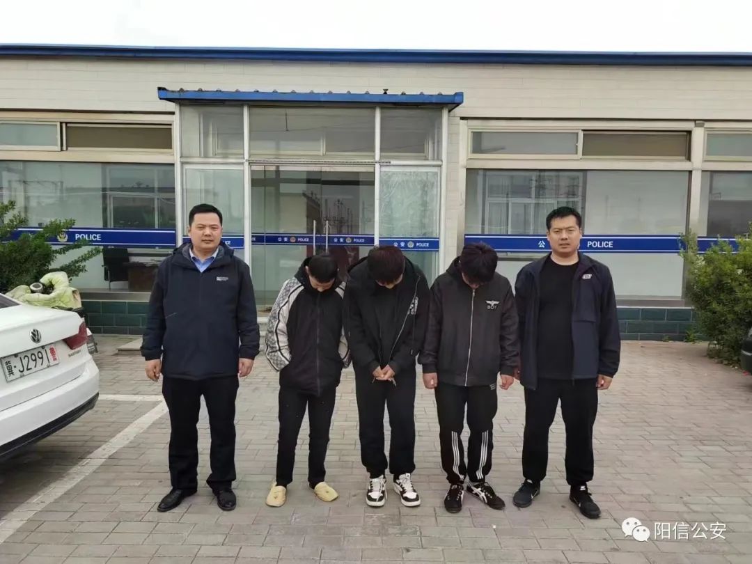 大快人心！阳信警方百里追击15小时破获系列砸车盗窃案件