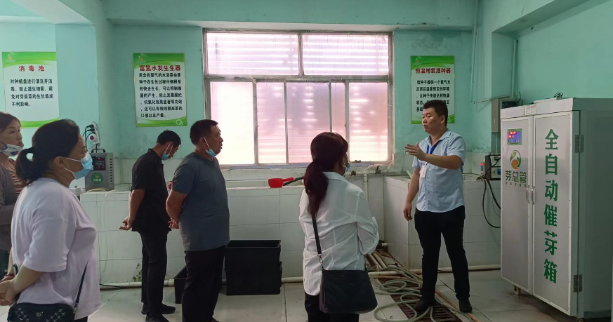 阳信商店镇：只喝纯净水的小小“芽苗菜”,拓宽致富新路径！