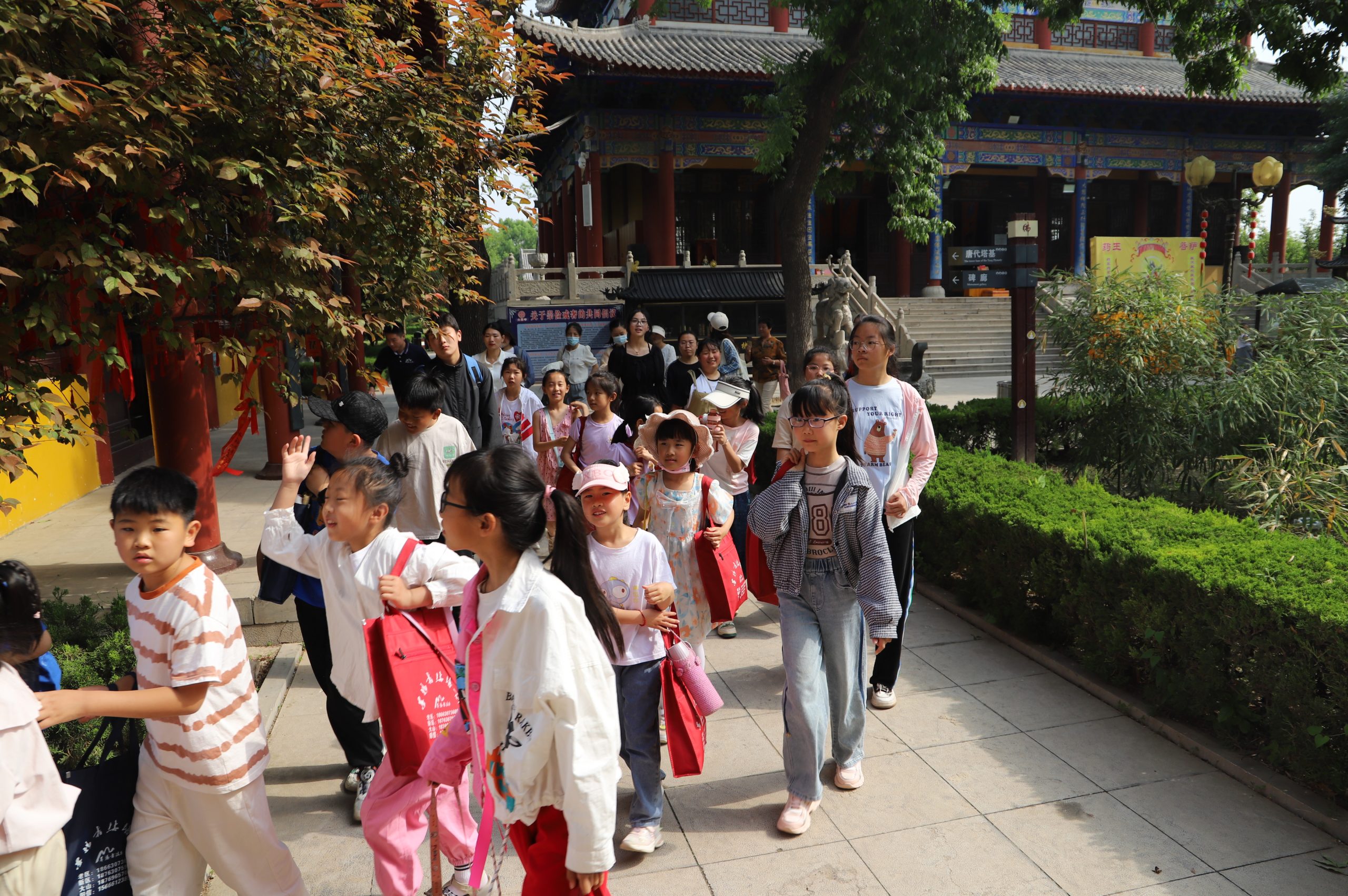 阳信墨扬书法相约古城研学踏青:齐作百米长卷书画 尽显传统文化魅力