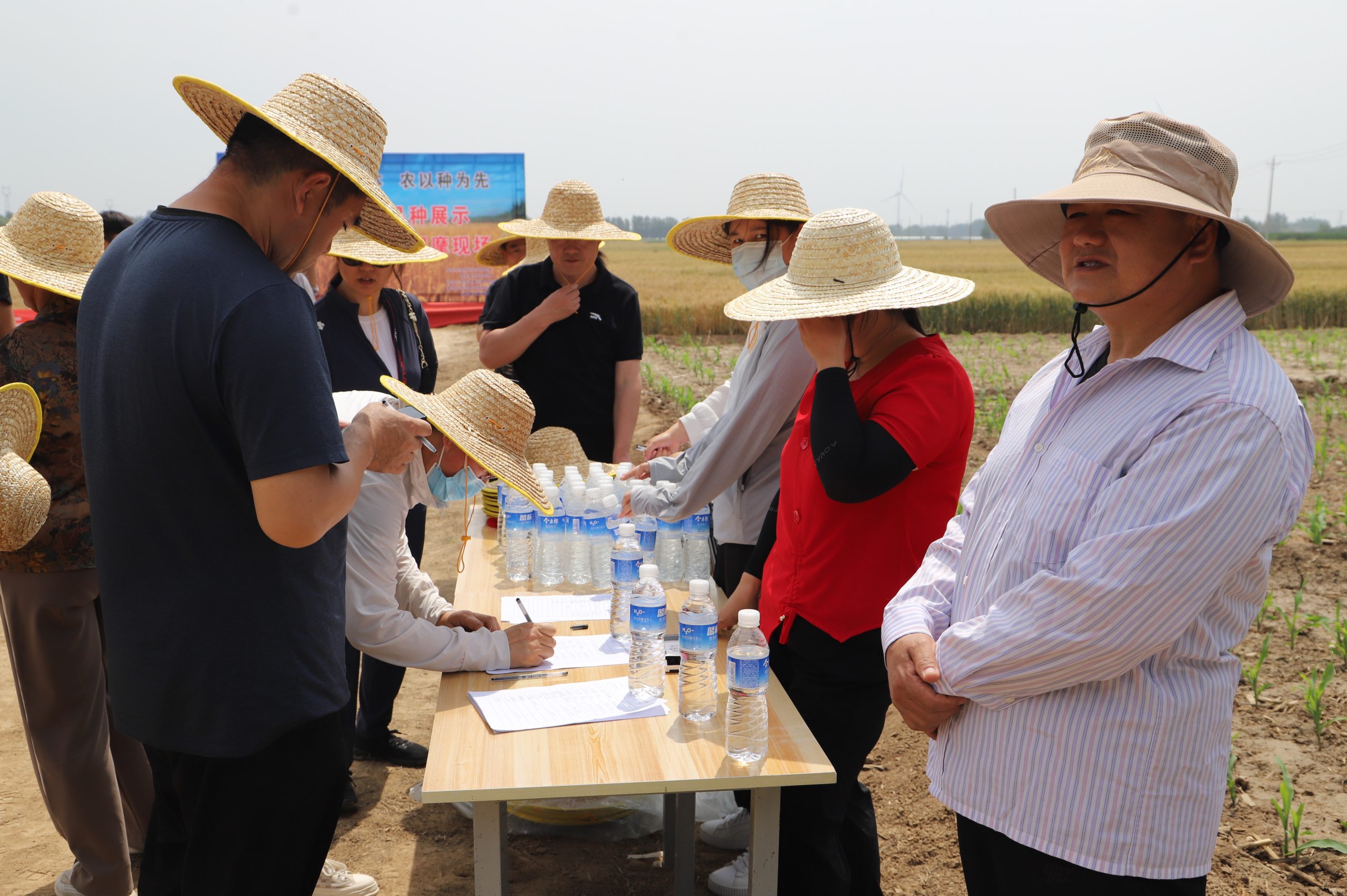 阳信中润农发集团:滨州市小麦新品种观摩会在翟王镇韩桥村举行