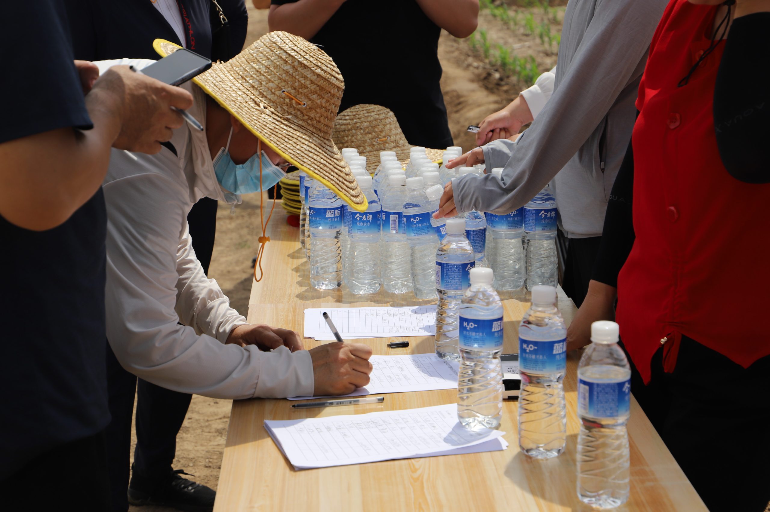 阳信中润农发集团:滨州市小麦新品种观摩会在翟王镇韩桥村举行