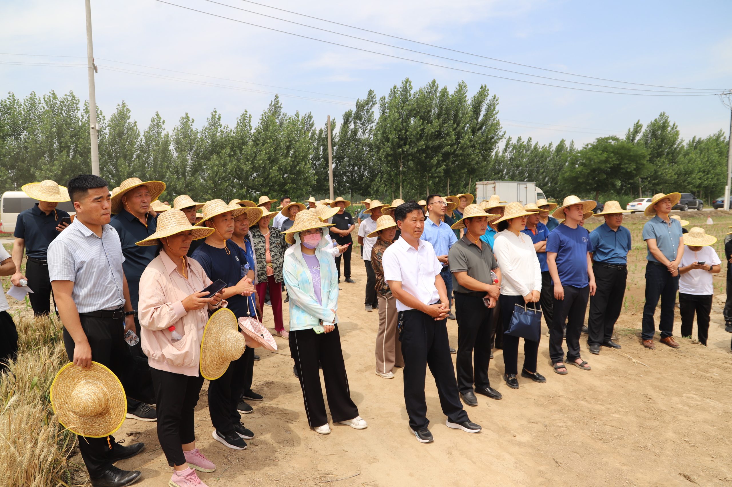 阳信中润农发集团：滨州市小麦新品种观摩会在翟王镇韩桥村举行