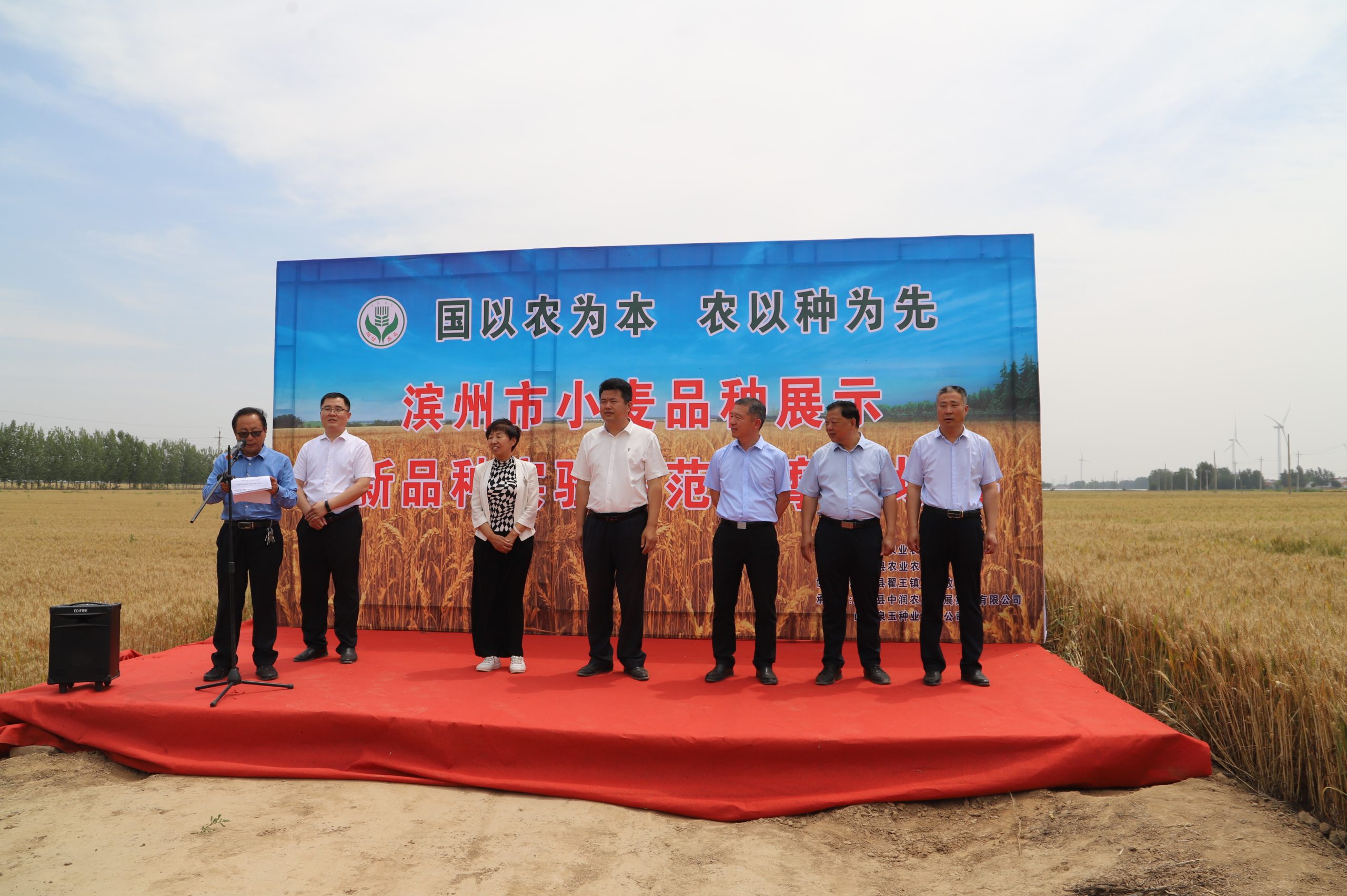 阳信中润农发集团：滨州市小麦新品种观摩会在翟王镇韩桥村举行