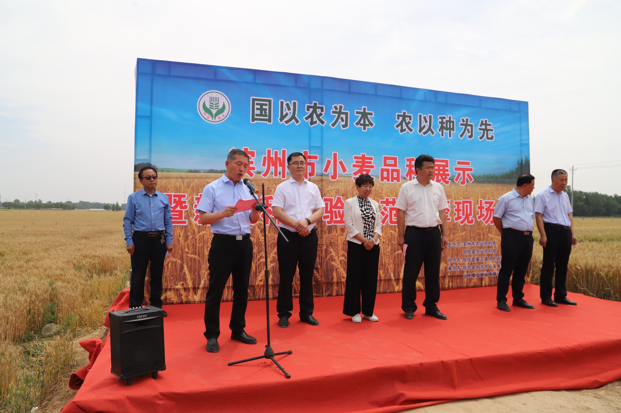 阳信中润农发集团：滨州市小麦新品种观摩会在翟王镇韩桥村举行