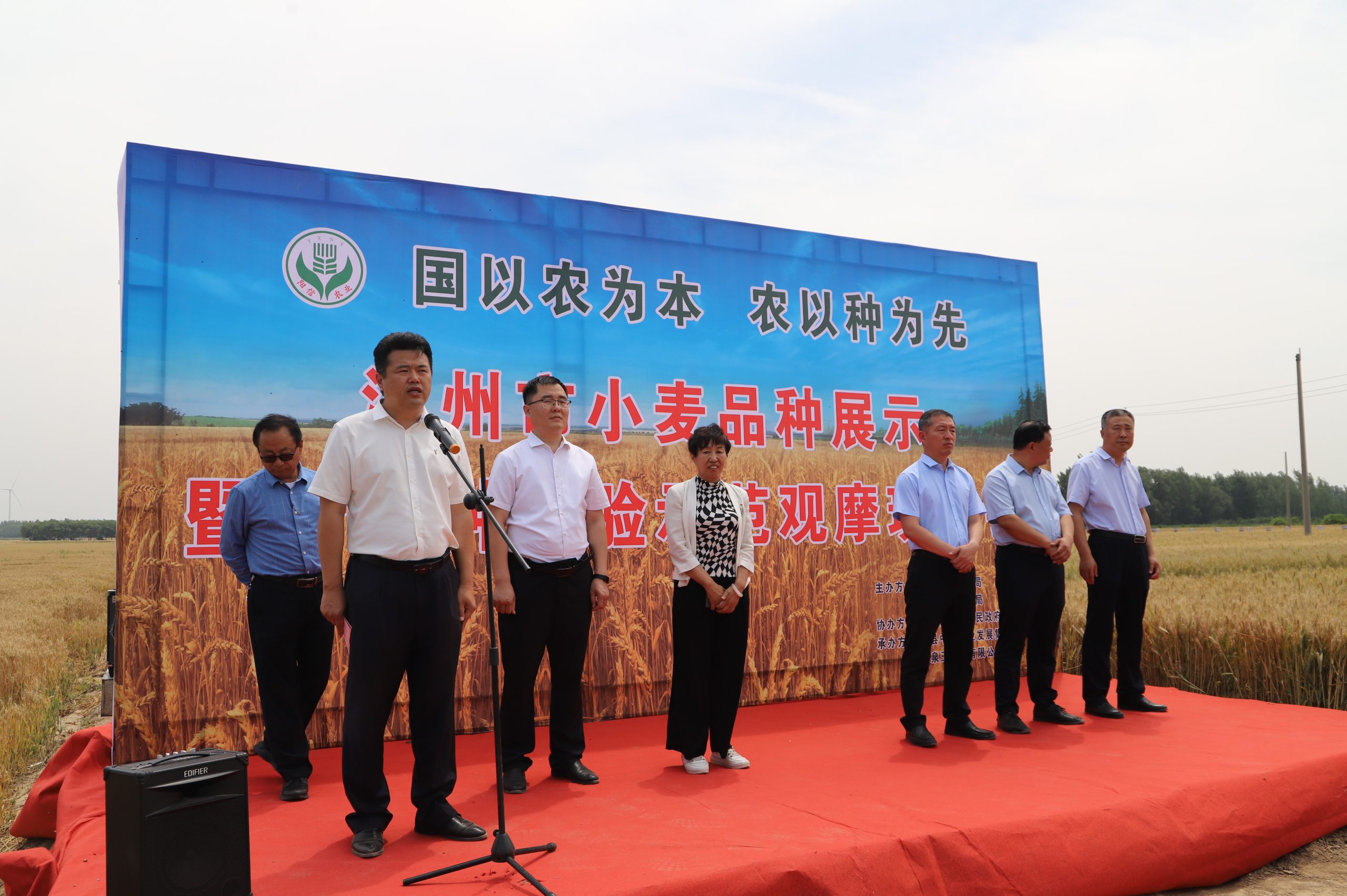 阳信中润农发集团：滨州市小麦新品种观摩会在翟王镇韩桥村举行