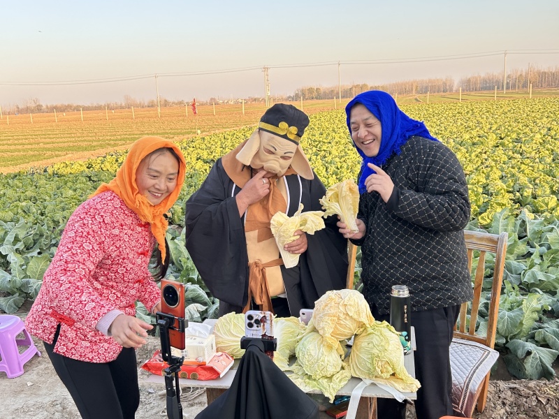 “黄金白菜”直播卖爆！山东阳信这个乡靠一根网线，让农田直连全国餐桌