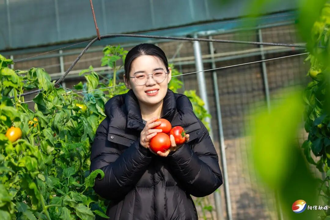 阳信丰阳大超市正式进驻滨州市区