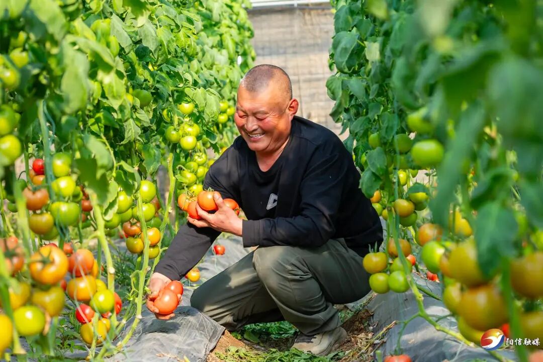 阳信丰阳大超市正式进驻滨州市区