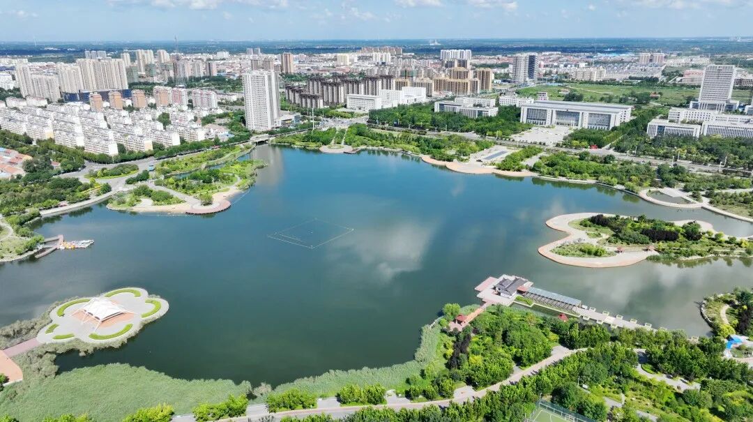 《阳信的风》 ——一首写给家乡的说唱情书