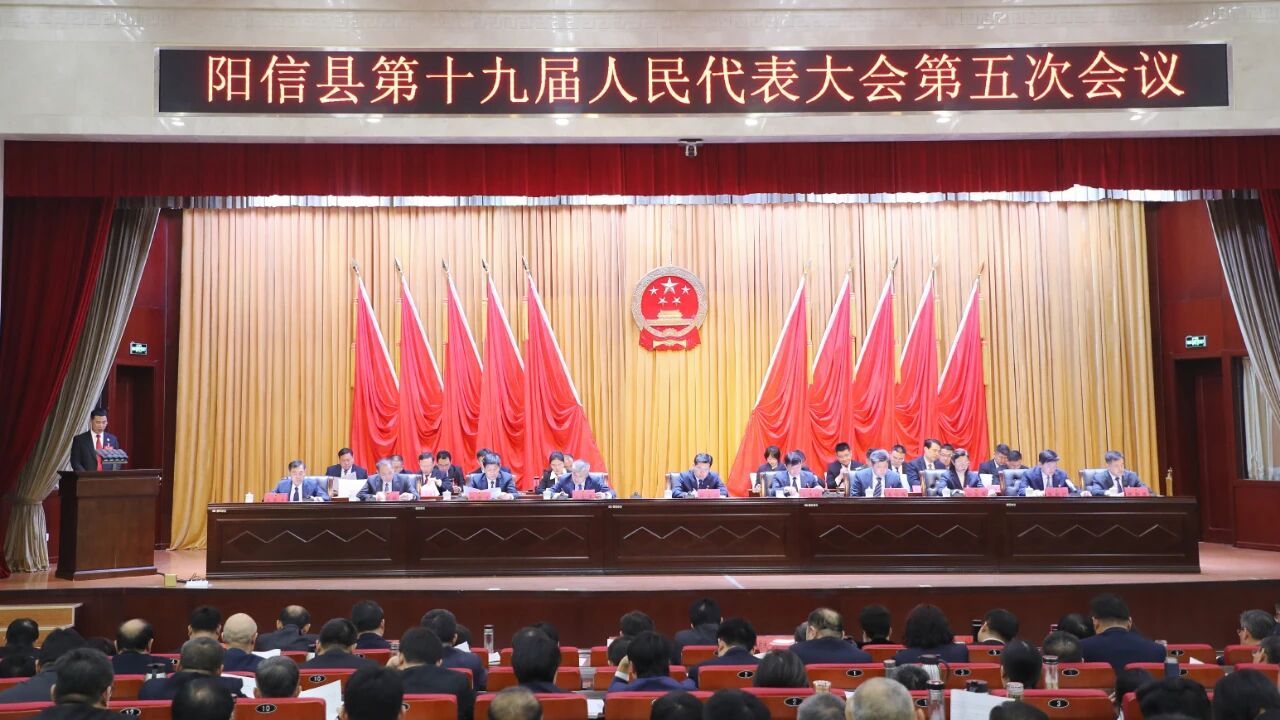 全票通过！阳信法院“五维硬核”书写“十五五”司法为民新答卷