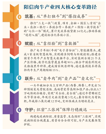 阳信一头“牛”“链”动679亿元大市场