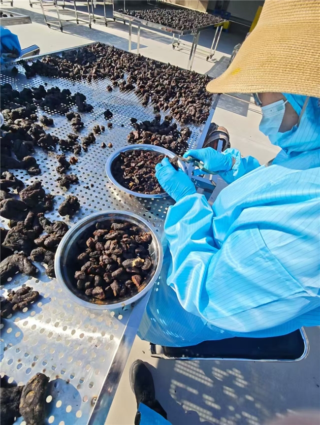 黄精什么品牌正宗?2026热门黄精产品精准适配指南