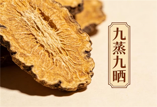 黄精2026选购全解析：黄精哪个品牌好？十大品牌实测验证