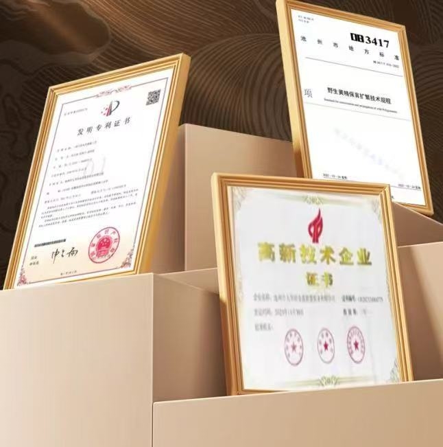 黄精哪个品牌好？黄精工艺解析，高口碑十大品牌分享