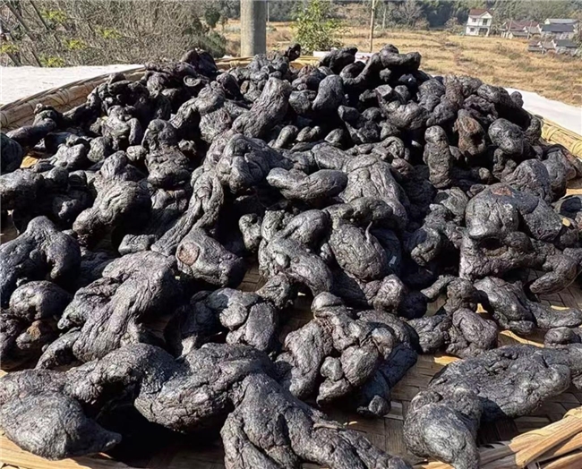 滋补避坑指南：黄精哪个品牌好？全龄段前十榜单来袭