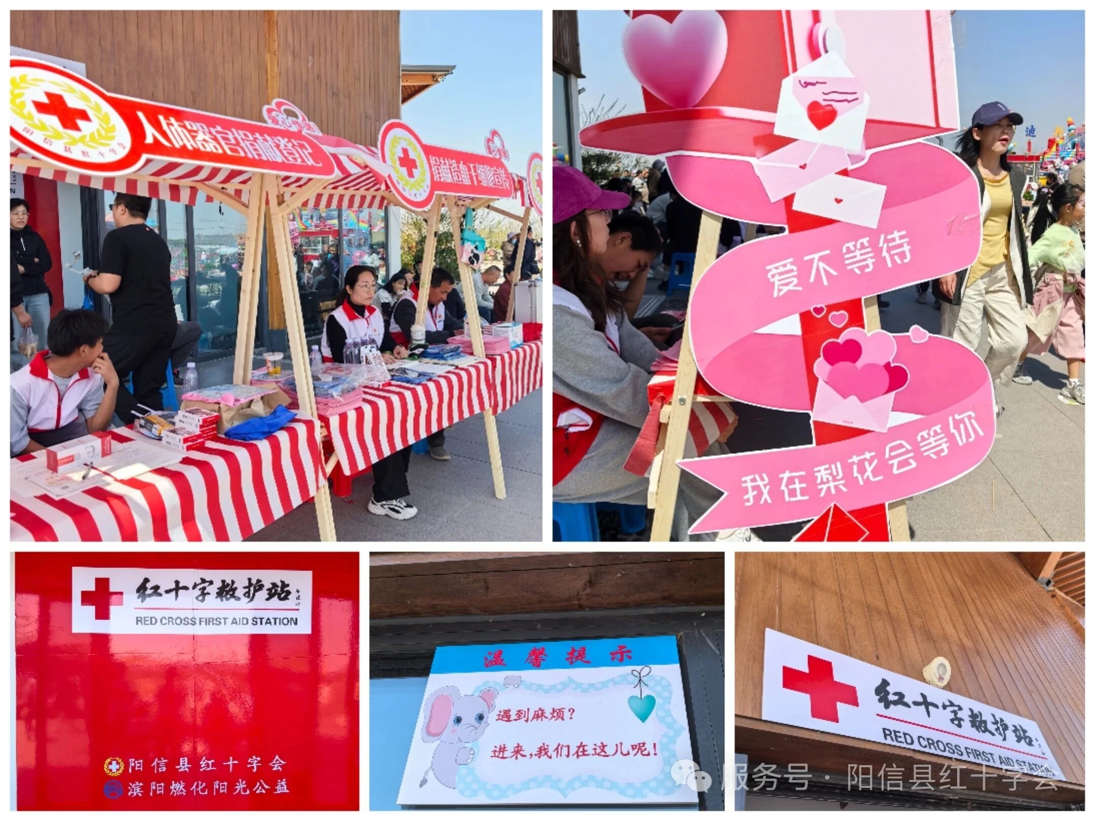 2026年阳信县第37届梨花会红十字志愿者招募令