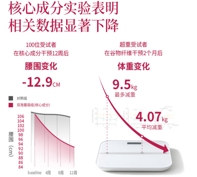2026主流减肥代餐权威实测：从入门到进阶，精准选对不踩坑