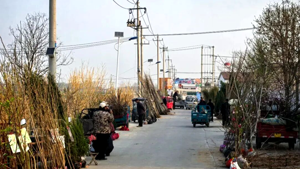 阳信县劳店镇:集中整治大集环境 畅通梧桐大道保障群众出行