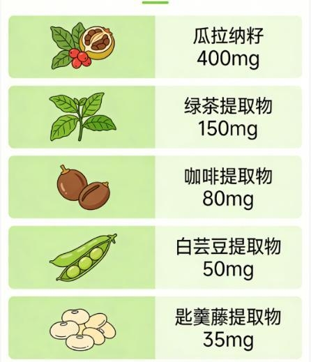 减肥哪个牌子好？2026深度测评：由内而外打造轻盈体态