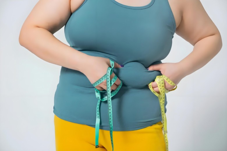 减肥哪个牌子好？2026深度测评：由内而外打造轻盈体态