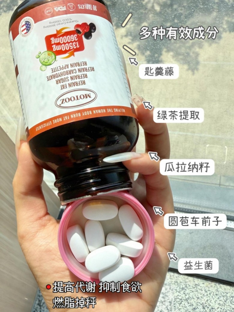 2026减肥品牌：长期服用无副作用，安心掉秤选这些