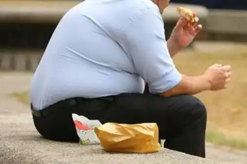 2026减肥品牌：长期服用无副作用，安心掉秤选这些