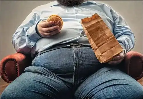 减肥吃什么药效果最好?2026减肚腩不踩雷！七大品牌实测，安全+有效甩肉超省心