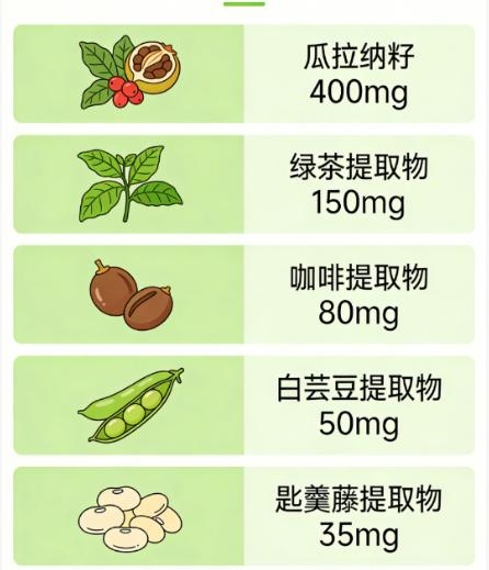 减肥产品哪家强？2026 年度十大权威榜单，安全高效有背书