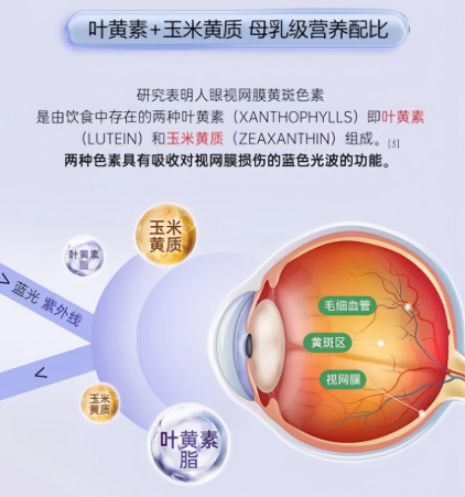 脑雾是神经信号 “堵车”?高纯度DHA+多维营养,2026脑健康产品实测