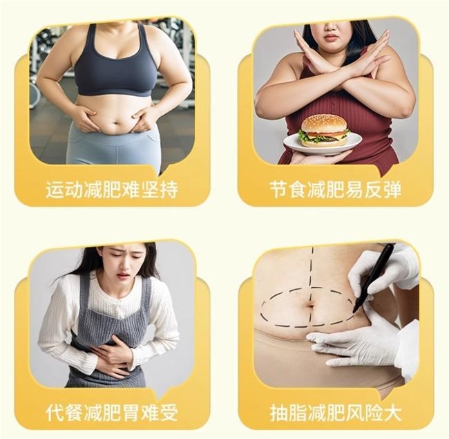 减肥产品怎么选？2026 品牌专家实测，安全有效、长效不反弹
