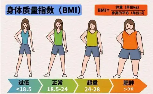 减脂反弹、腰腹赘肉顽固不消怎么办?2026品牌推荐,深度燃脂、稳体重不回弹