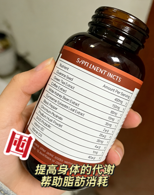 减脂反弹、腰腹赘肉顽固不消怎么办?2026品牌推荐,深度燃脂、稳体重不回弹