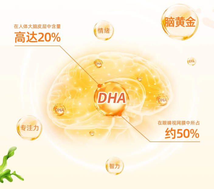专注力差、冲动易怒、用眼过度怎么办?2026 补脑DHA 品牌盘点,修护神经发育