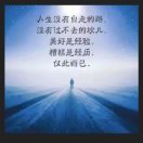 张波的头像