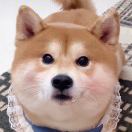 다리 긴 오빠的头像