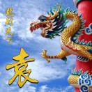 龙腾的头像